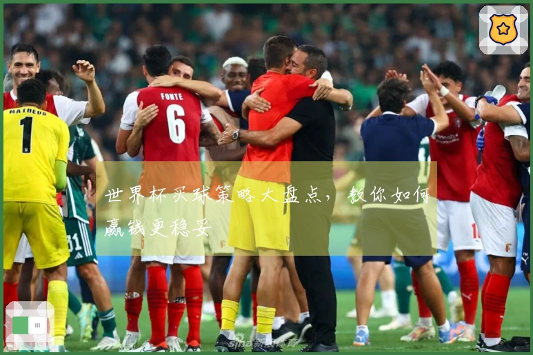 世界杯买球策略大盘点，教你如何赢钱更稳妥