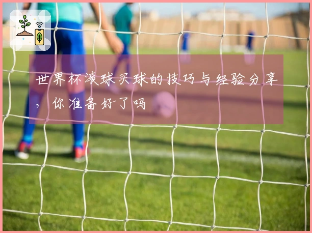 世界杯滚球买球的技巧与经验分享，你准备好了吗