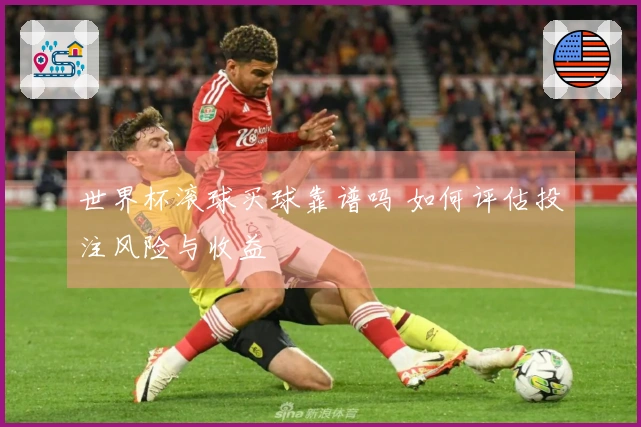 世界杯滚球买球靠谱吗 如何评估投注风险与收益