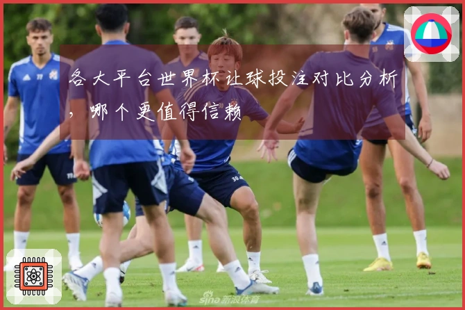 各大平台世界杯让球投注对比分析，哪个更值得信赖