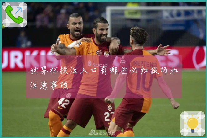 世界杯投注入口有哪些必知技巧和注意事项