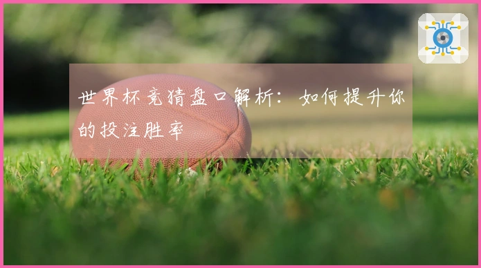 世界杯竞猜盘口解析：如何提升你的投注胜率