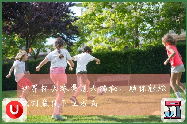 世界杯买球渠道大揭秘，助你轻松找到最佳下注方式