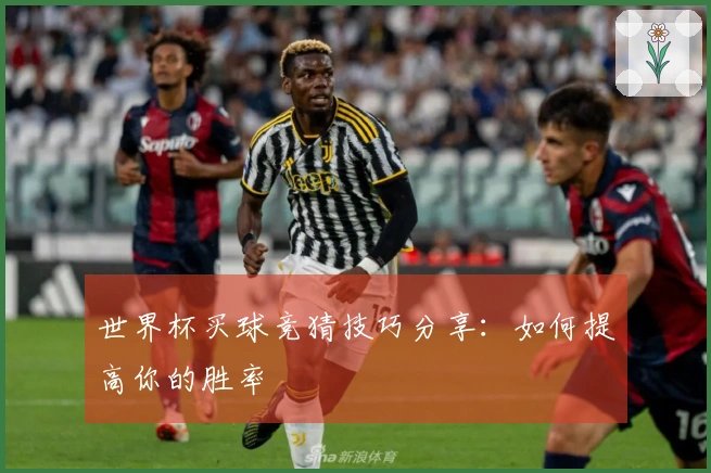 世界杯买球竞猜技巧分享：如何提高你的胜率