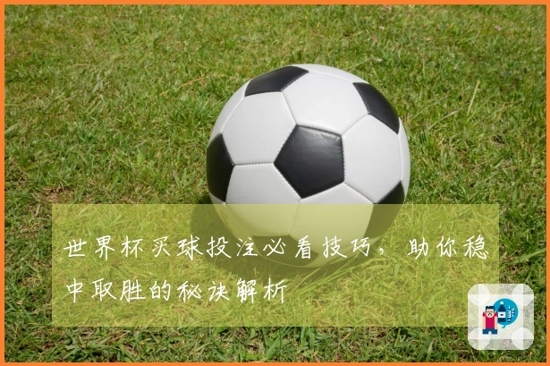 世界杯买球投注必看技巧，助你稳中取胜的秘诀解析