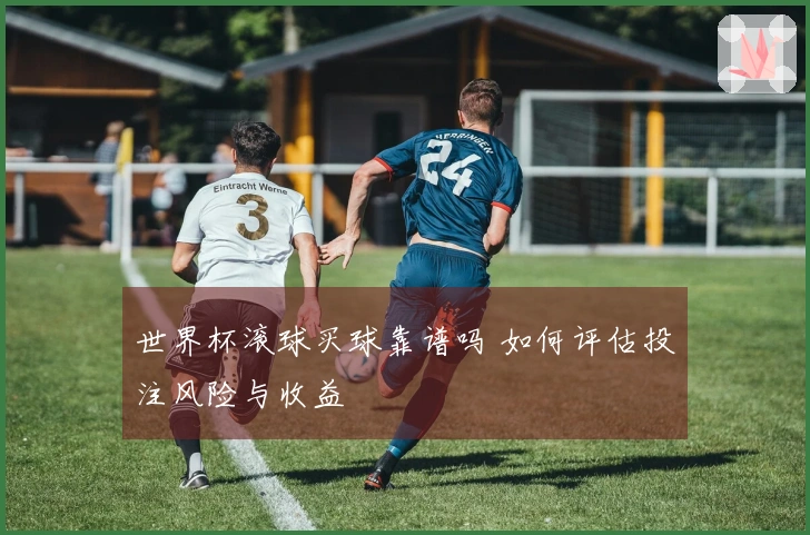 世界杯滚球买球靠谱吗 如何评估投注风险与收益