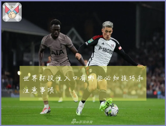 世界杯投注入口有哪些必知技巧和注意事项