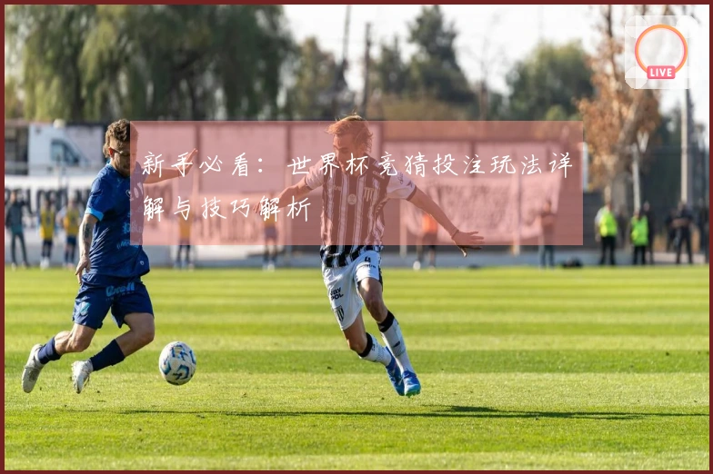 新手必看：世界杯竞猜投注玩法详解与技巧解析