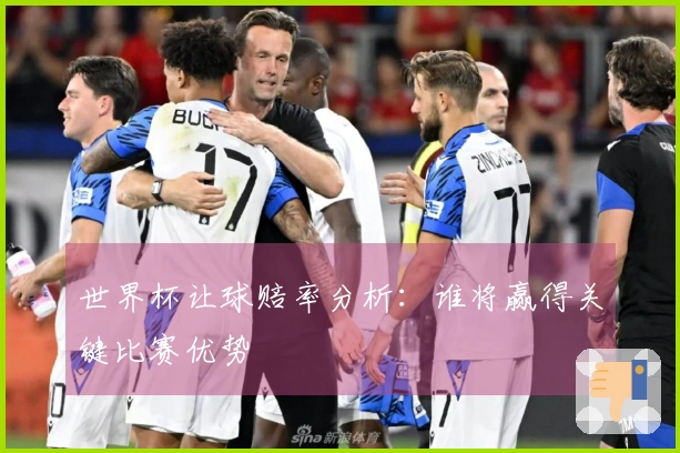 世界杯让球赔率分析：谁将赢得关键比赛优势