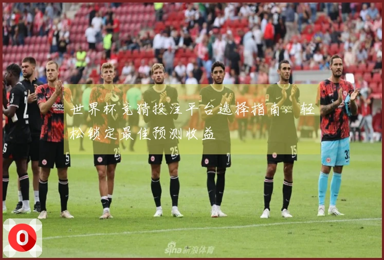 世界杯竞猜投注平台选择指南，轻松锁定最佳预测收益