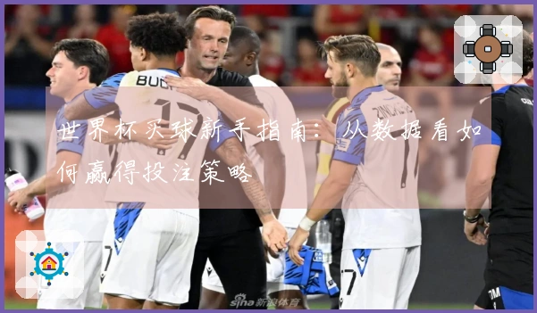 世界杯买球新手指南：从数据看如何赢得投注策略