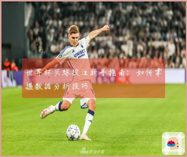 世界杯买球投注新手指南：如何掌握数据分析技巧