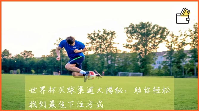 世界杯买球渠道大揭秘，助你轻松找到最佳下注方式