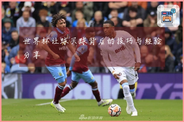 世界杯让球买球背后的技巧与经验分享