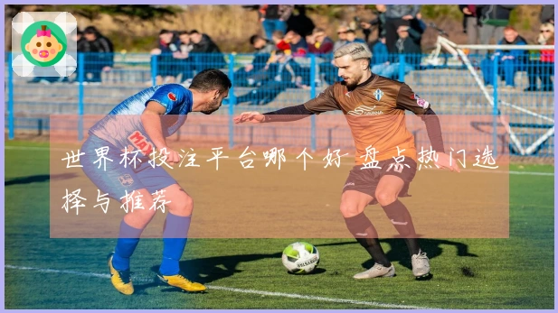世界杯投注平台哪个好 盘点热门选择与推荐