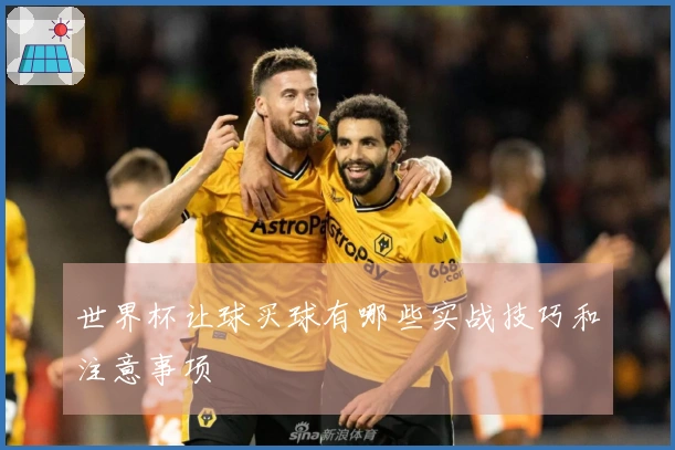世界杯让球买球有哪些实战技巧和注意事项